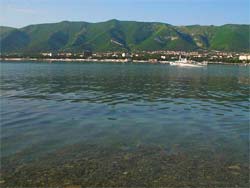 Море в Дивноморске